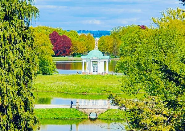 Botanische Vielfalt auf einer Insel