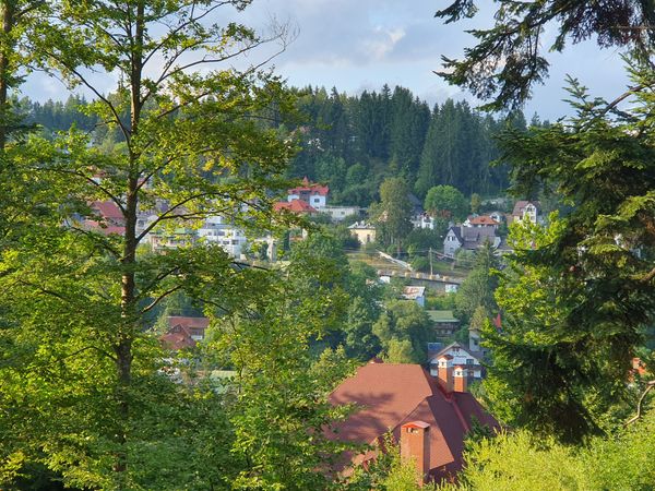 Gemütliches Zuhause in Sinaia