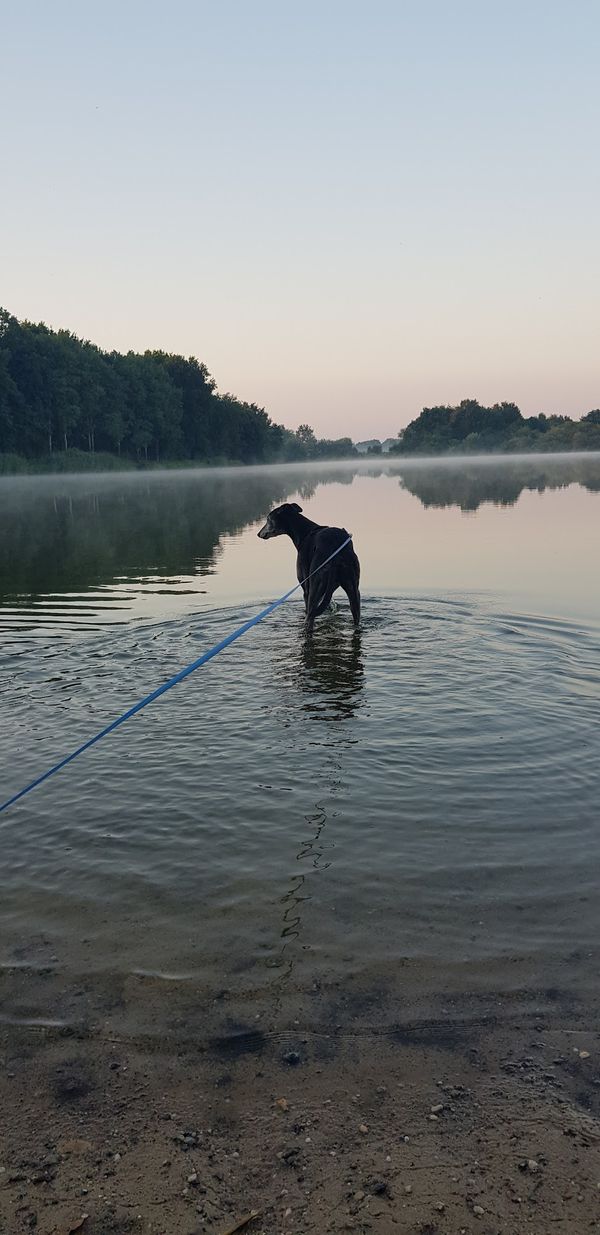 Erfrischung pur im Badesee