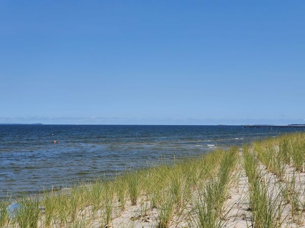 Spaß für Vierbeiner am Wasser