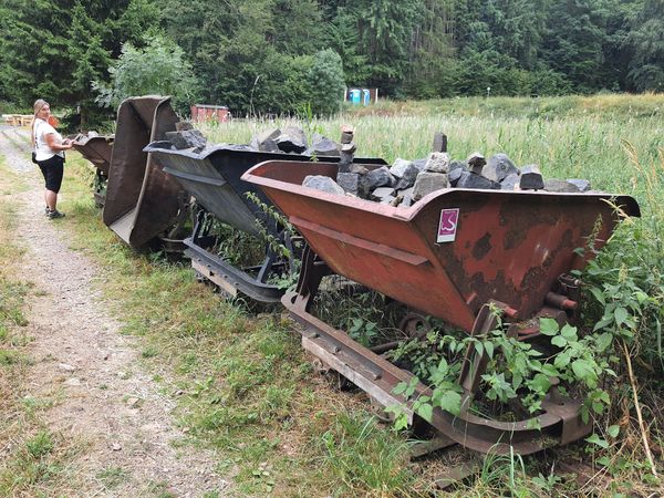 Abenteuerliche Pfade durch den Taunus
