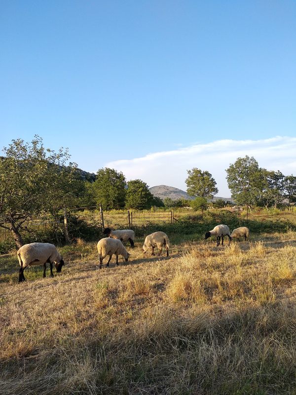 Ein Tag im Pony-Paradies