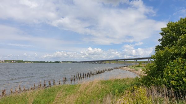 Sonnenbaden und Meer