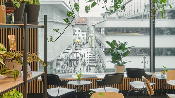 Genieße Kaffee in einer grünen Oase
