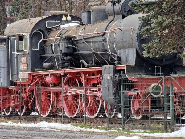 Reisen wie ein König