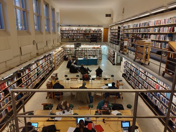 Bibliothek im Swedish Grace-Stil