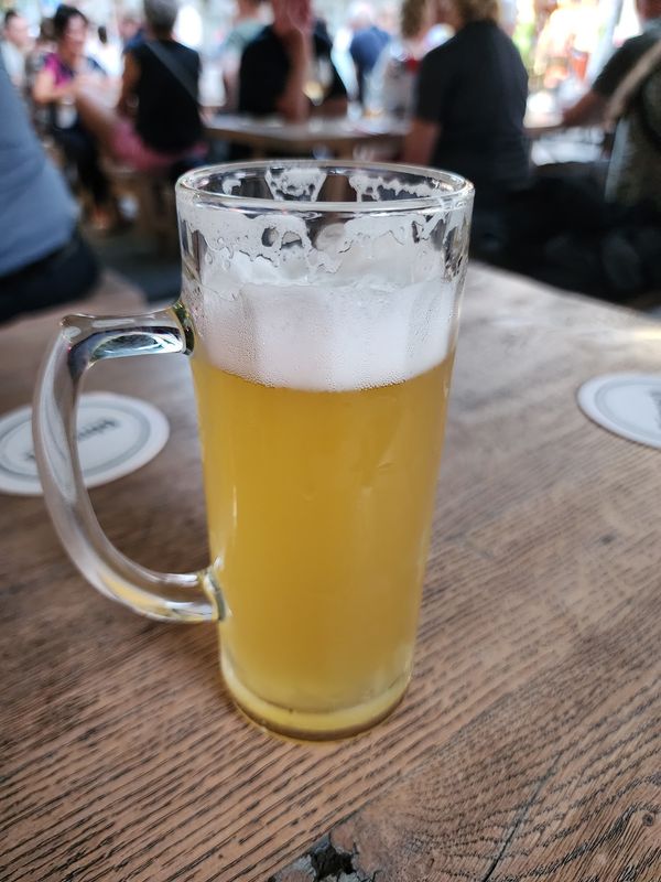 Probiere das lokale Bönnsch Bier