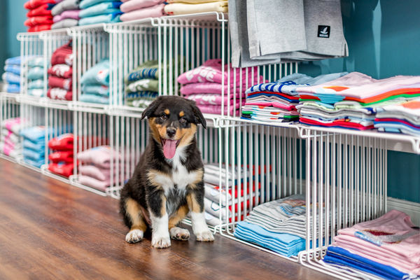 Sylter Andenken im Inselkind-Store