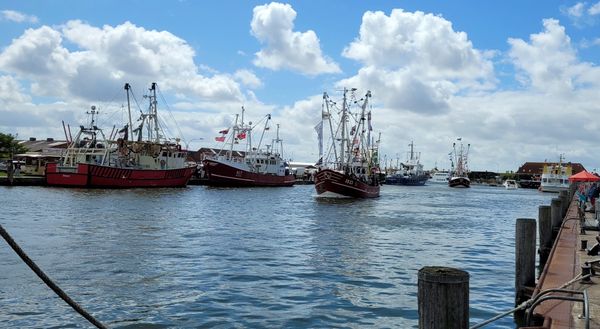 Traditionelle Kutterregatta erleben