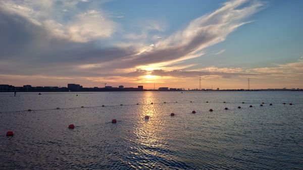 Amsterdams Strandparadies entdecken