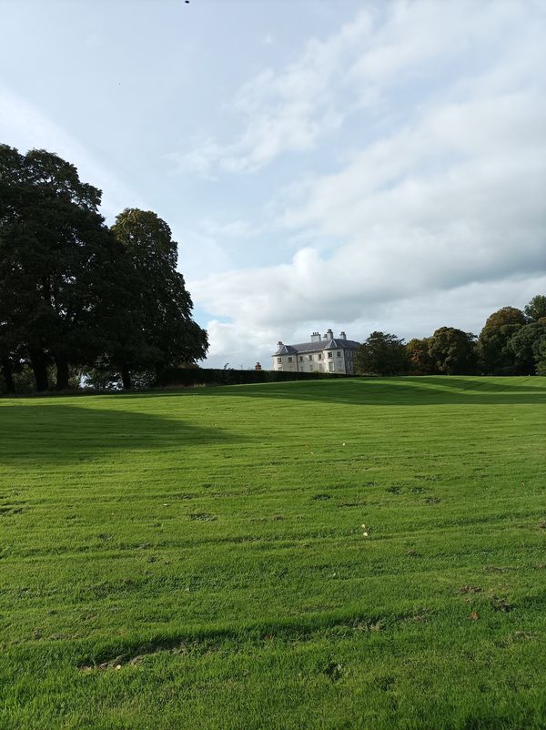 Wildtiere & Pflanzen im historischen Park