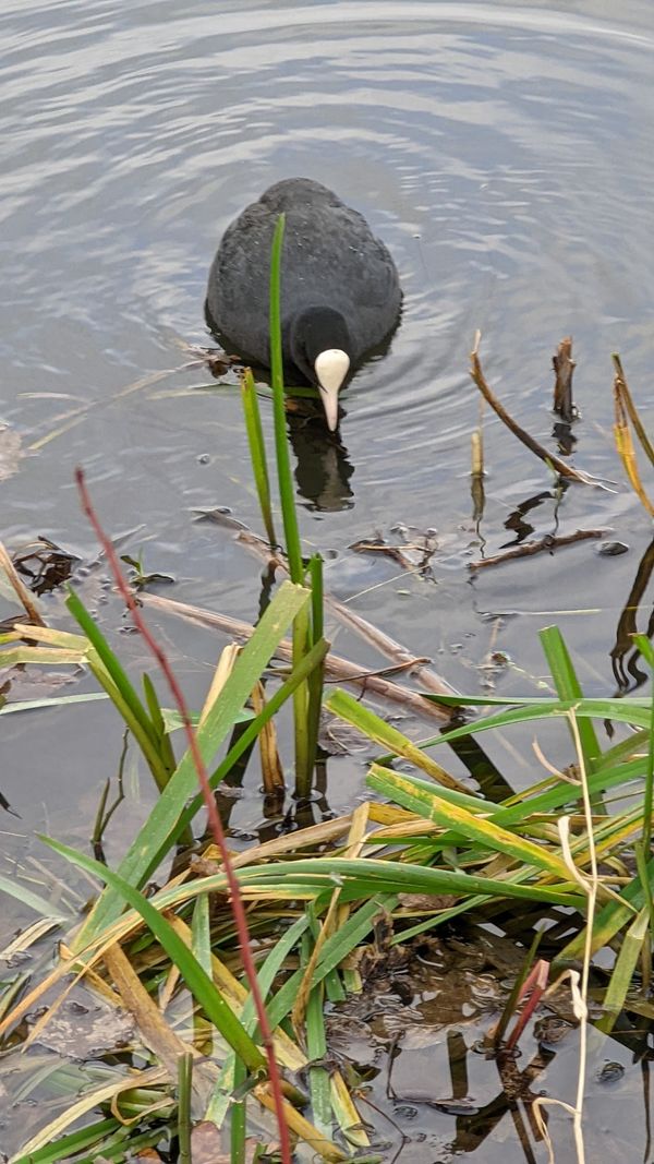 Verstecktes Naturjuwel entdecken