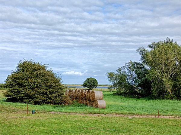 Einzigartige Naturerlebnisse an der Ostsee