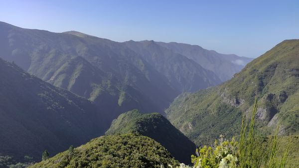 Einzigartiges Naturschauspiel auf Madeira