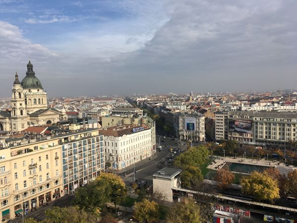 Grüne Oase in der Stadt