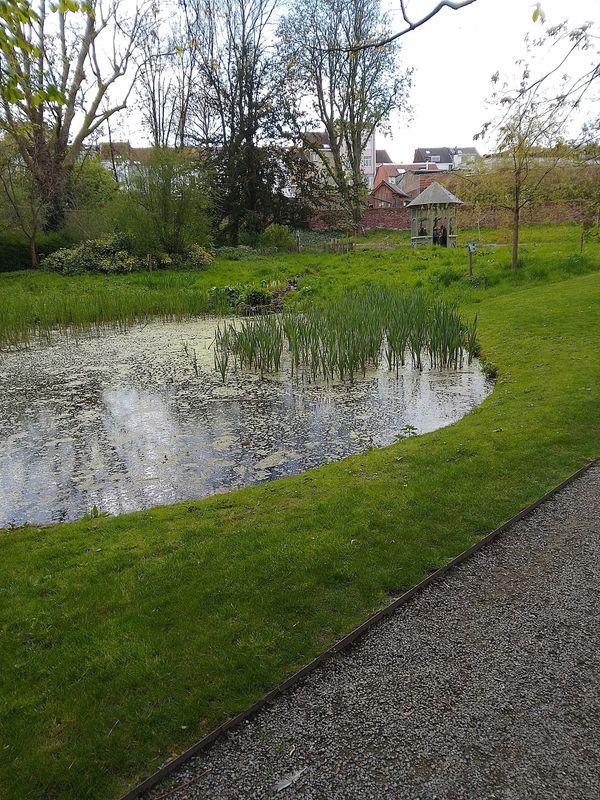 Ruhige Gartenidylle genießen