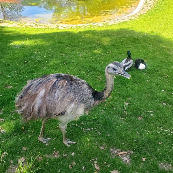 Tierisches Vergnügen für die Familie