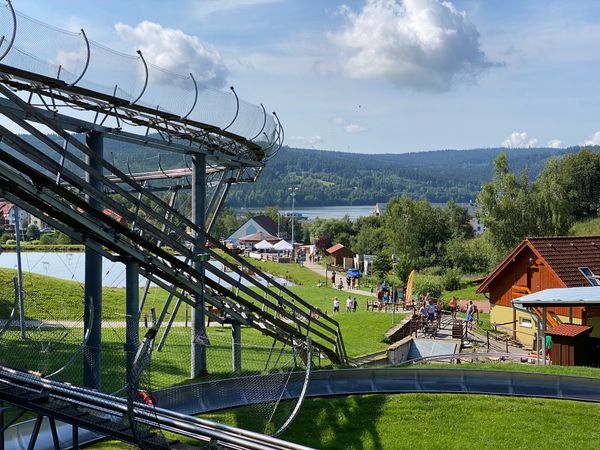 Rasante Abfahrt im Sommerrodelbahn-Spaß