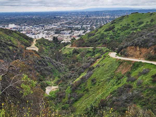 Wandern mit Hollywood-Sign-Blick