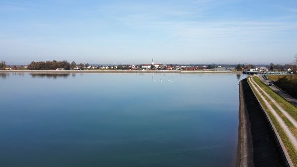 Vogelbeobachtung am größten See