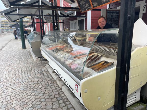 Frischer Fisch direkt vom Kutter