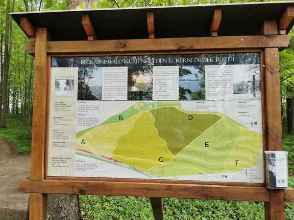 Natur pur in Sieberts Wald entdecken