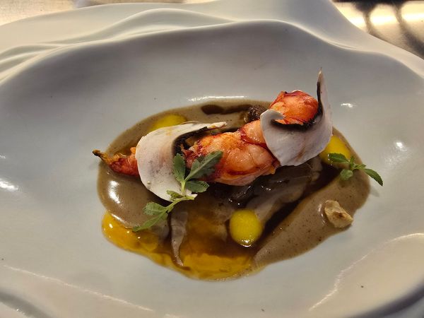 Sterneküche trifft auf Fischtradition