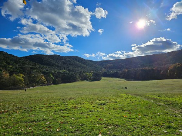 Entdecke die atemberaubende Natur in Mödling