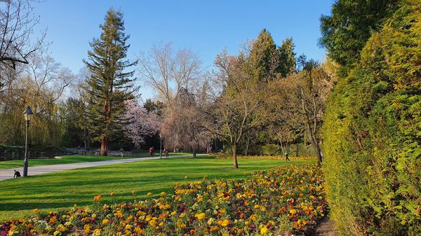 Spaziere durch mediterranes Flair mitten in Würzburg