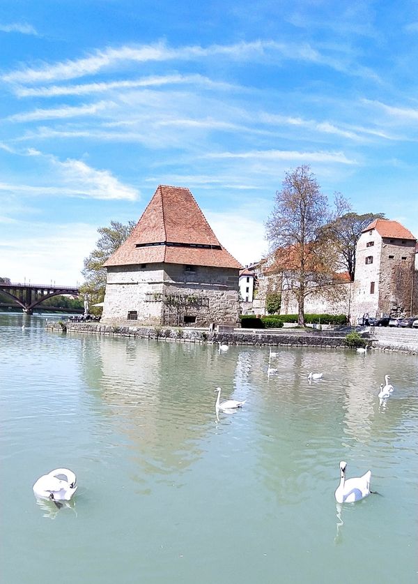 Geschichtsträchtige Begegnungen am Ufer der Drau mit Weinverkostung