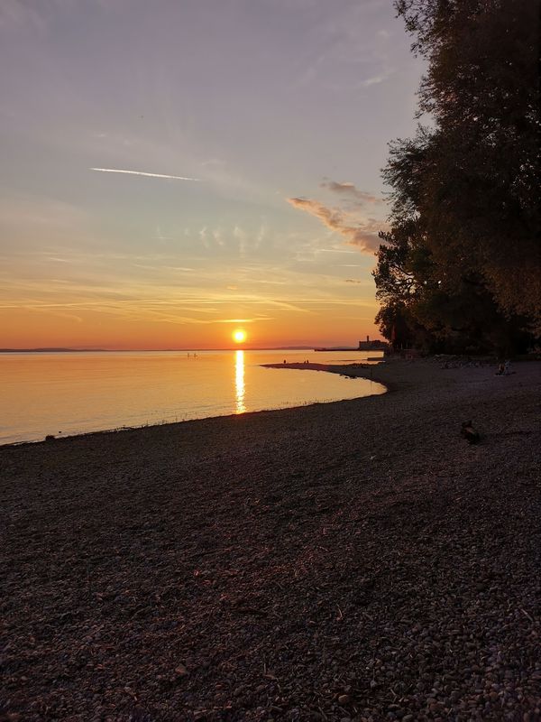 Elegantes Essen mit Blick auf den Bodensee