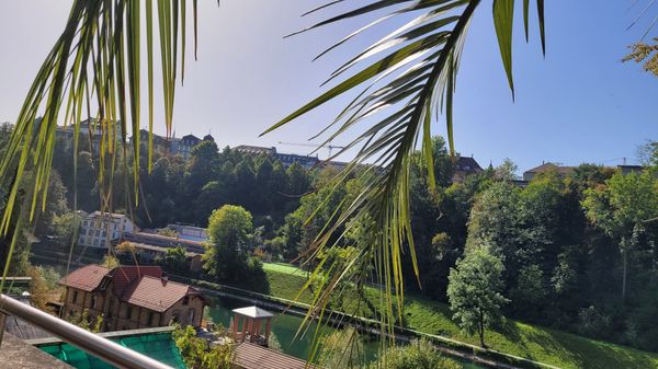 Frühstück im Botanischen Garten