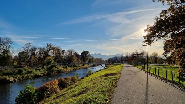 Grüne Oase der Ruhe