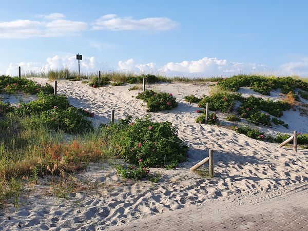 Spaziergang mit Meerblick