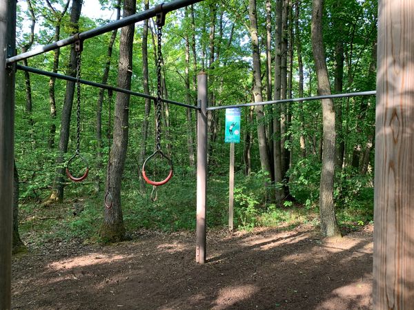 Abenteuer im Grünen: Spiel und Spaß auf dem Wald- und Erlebnispfad