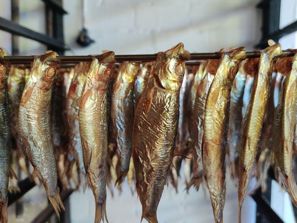 Tauche ein in die Geschichte der Fischerei