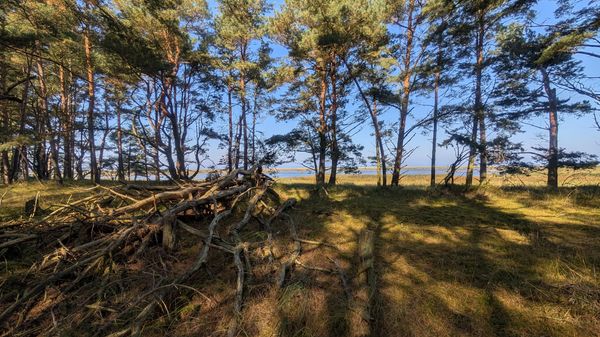Einzigartige Naturerlebnisse an der Ostsee
