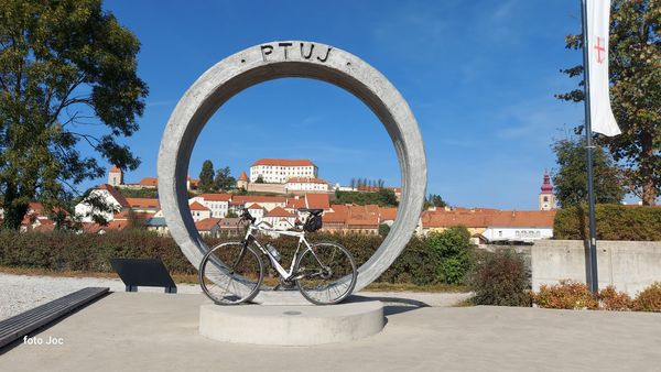 Perfekter Blick auf Ptuj's Dächer