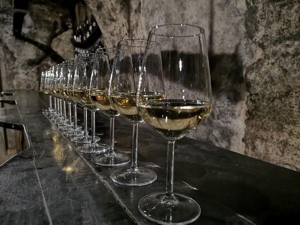 Einzigartige Einblicke in die Welt der Weine im Weinmuseum Vinag 1847