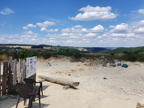 Auf Fossiliensuche wie ein echter Paläontologe