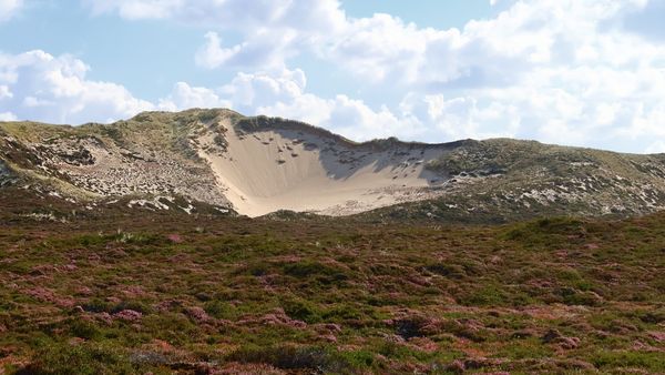Bewegende Naturwunder auf Sylt