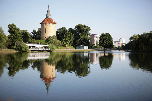 Grüne Oase der Ruhe