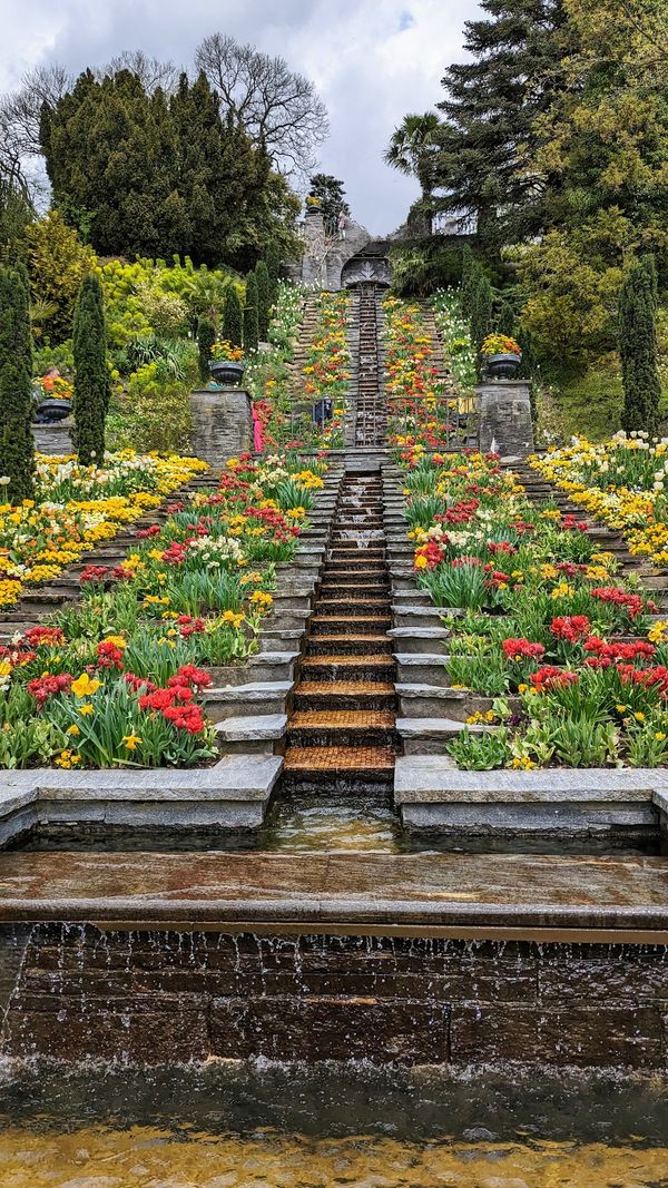 Ein Paradies aus Blumen und Schmetterlingen