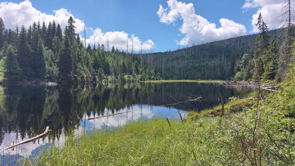 Wandern im grünen Herz Europas