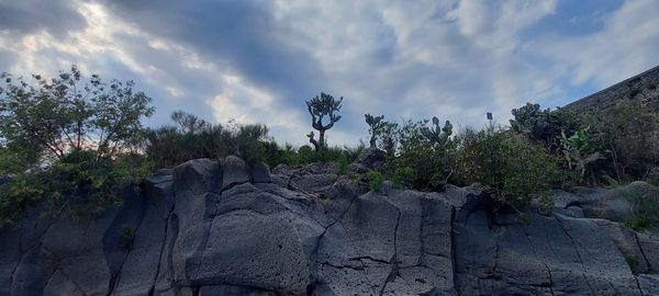 Naturspektakel in den Schluchten