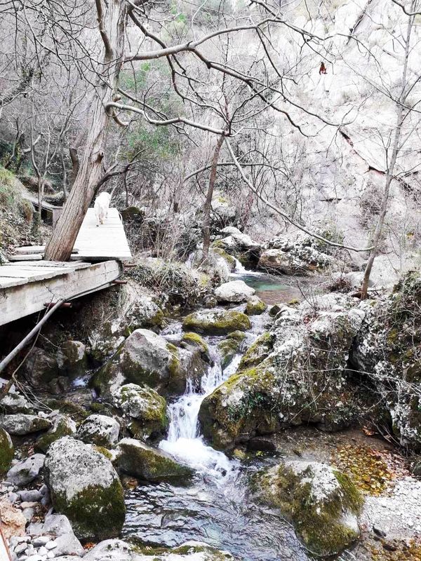 Verstecktes Paradies in den Bergen