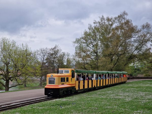 Vergnügliche Bahnfahrt 