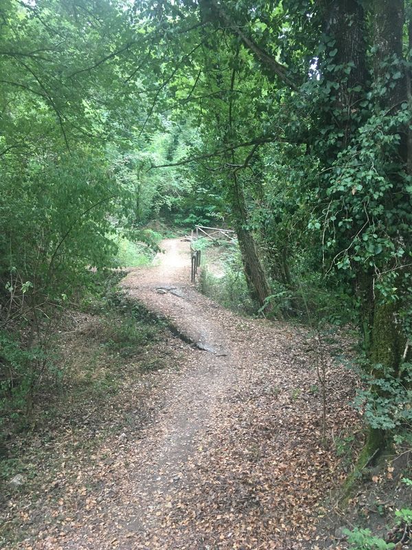 Pilgerweg durch atemberaubende Landschaften