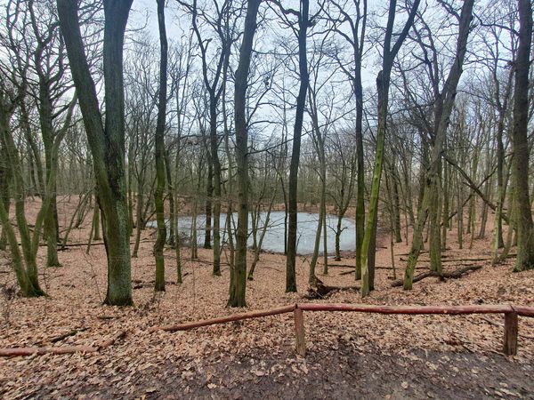 Bestaune echte Meteoritenkrater