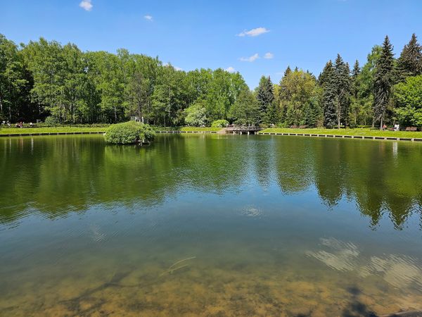 Grüne Oase der Ruhe und Schönheit